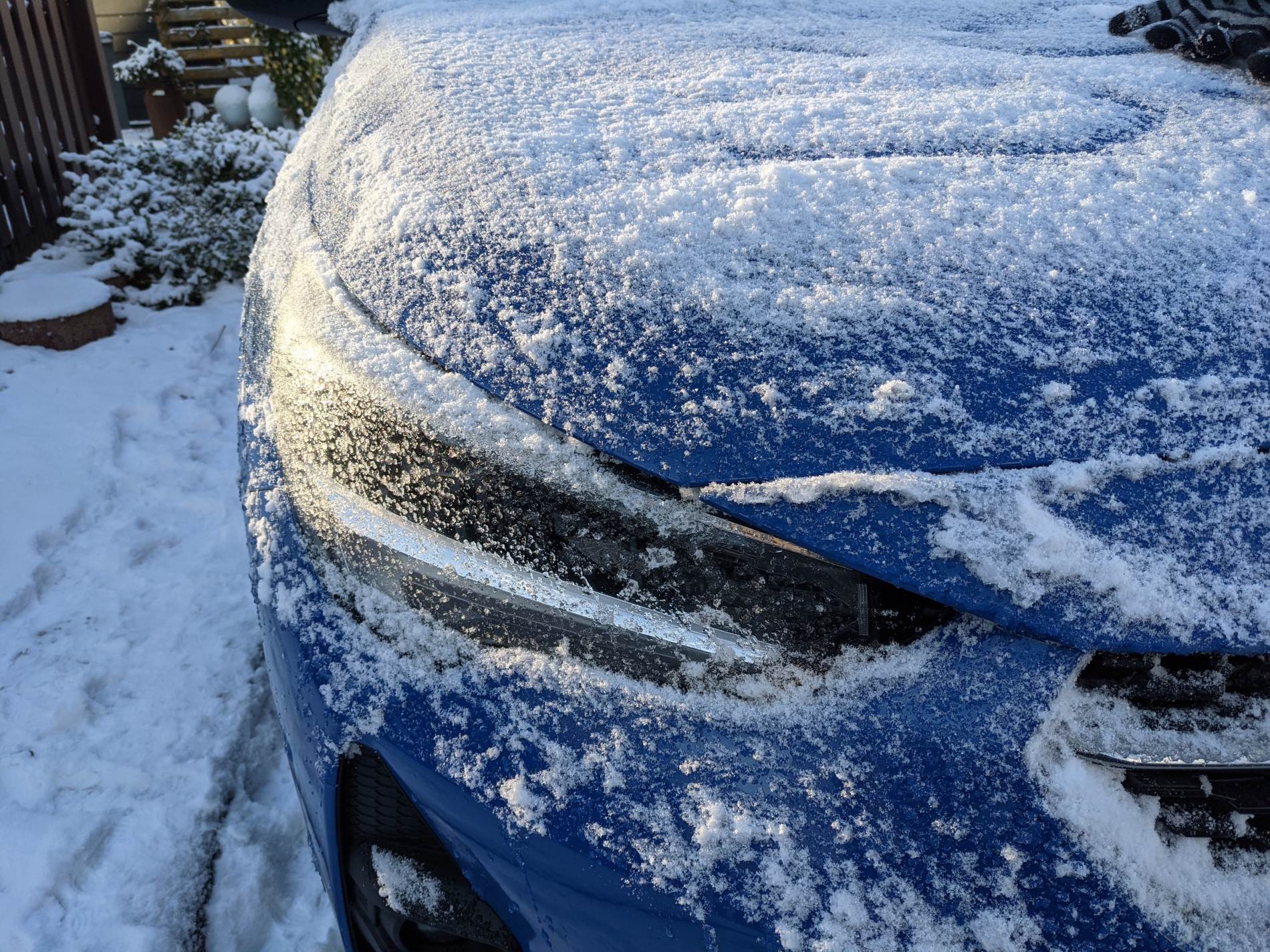 Paul nach einer frostigen Nacht